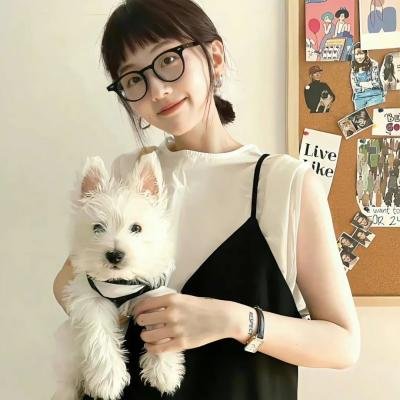 蜡笔小新第八季